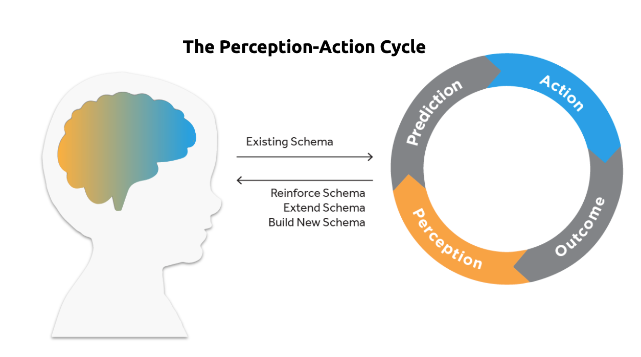 Perception-action cycle